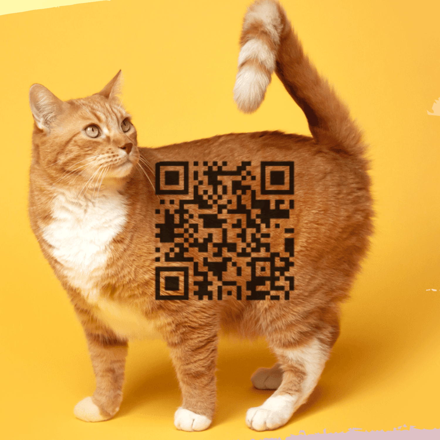Scan my cat!